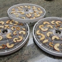 Step 5 - Remove from dehydrator trays