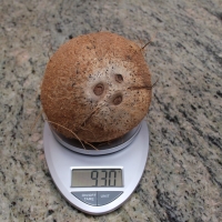 Coconut on a scale