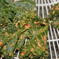Step 7 - Place coated kale on dehydrator trays