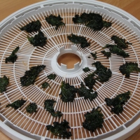 Step 4 - Remove from Dehydrating Trays
