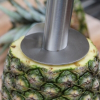 Step 1 - Center pineapple slicer and spin slicer down through fruit