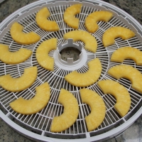 Step 4 - Place on Dehydrating Trays