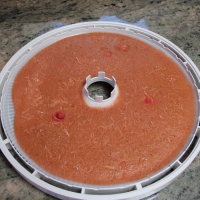 Fruit leather with conconut ready to remove