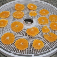 Step 3 - Place on dehydrating trays