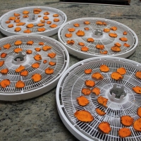 Step 7 - Remove from dehydrator trays