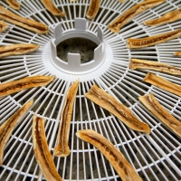 Step 4 - Remove from dehydrating trays
