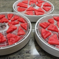 Step 4 - Place slices onto Dehydrating trays