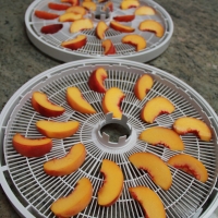 Step 3 - Place on Dehydrating trays 